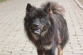 Neukloster092013-8152