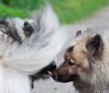 Neukloster092013-8167