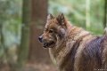 Neukloster092013-8187