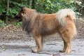 Neukloster092013-8205