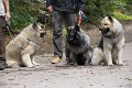 Neukloster092013-8218