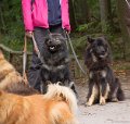 Neukloster092013-8220