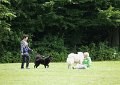 IMG_0082