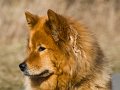 Z_IMG_0622