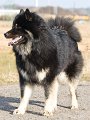 Z_IMG_0652